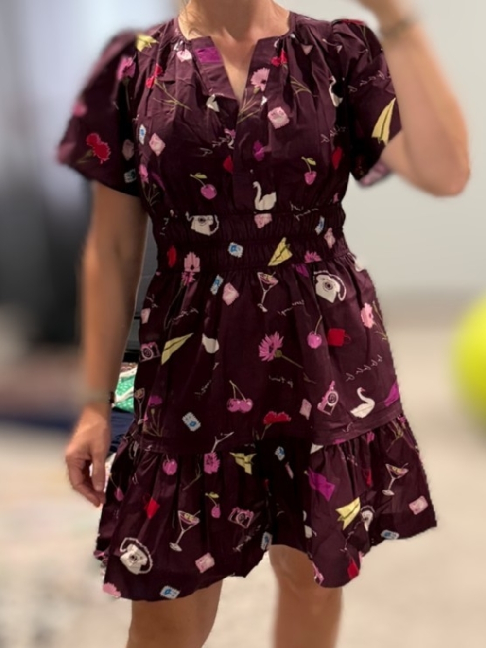 NWOT Anthropologie Somerset Mini Dress